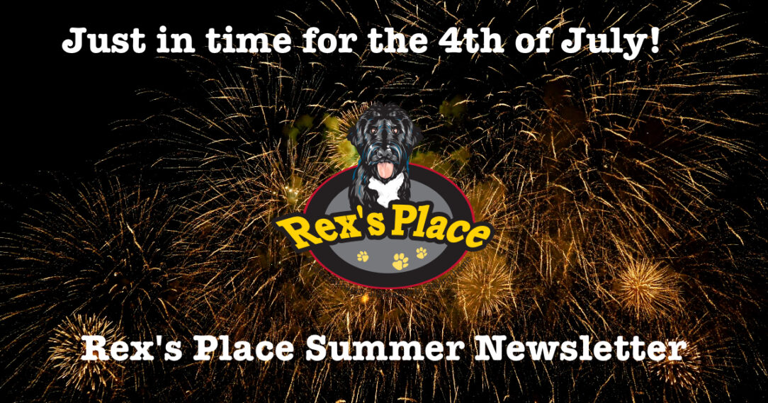 Rex's Place Logo over fireworks: Summer Newsletter